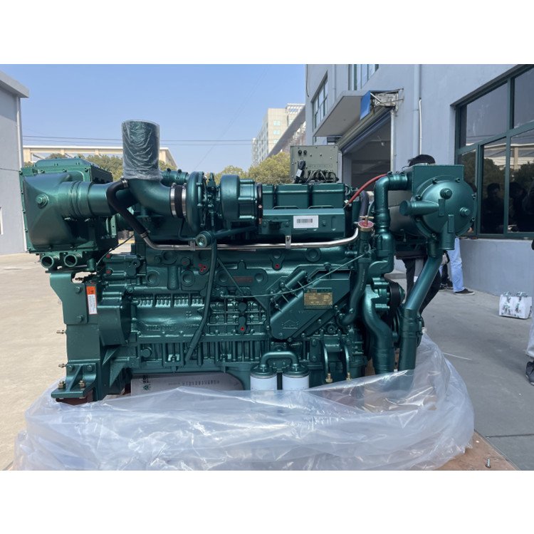 Strong Power Weichai Sinotruk Diesel Engine Wp12 D12 Marine Boat Motor D1242