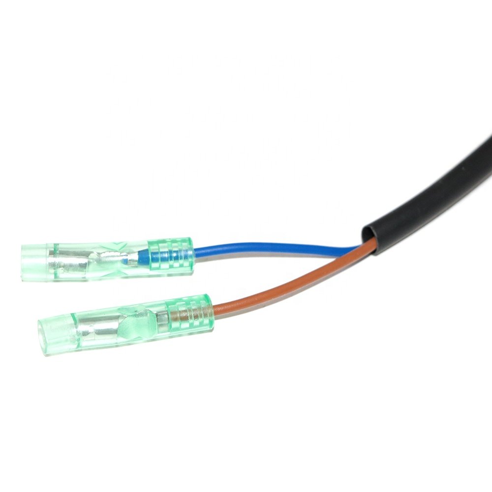 Charge Coil for Yamaha 63V-85520-01 2 Stroke 15HP Boat Engine