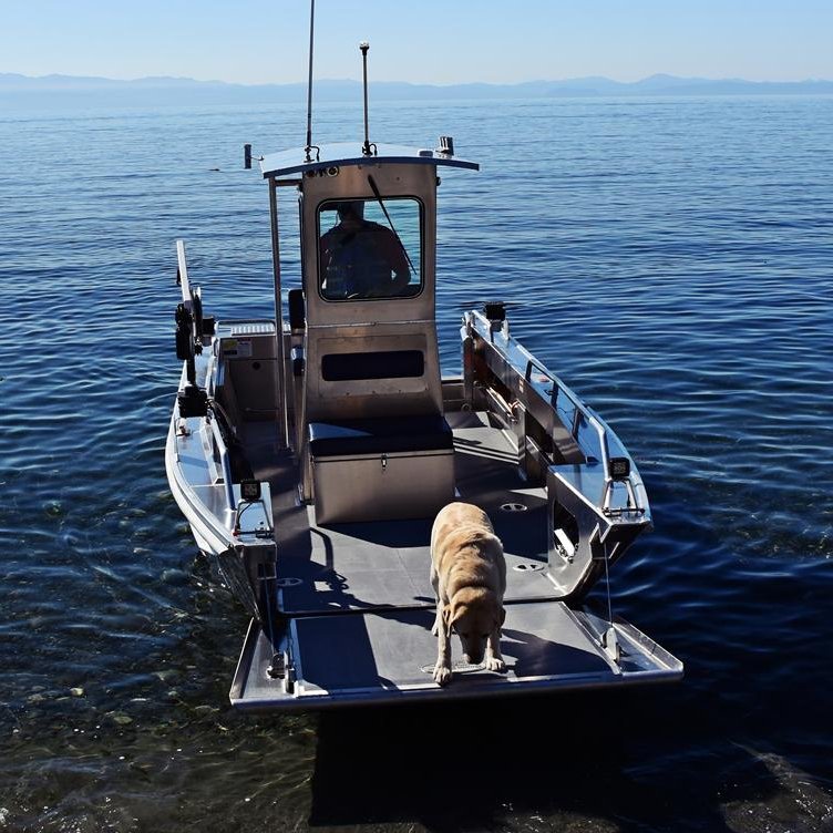 ECOCAMPOR Best Luxury Electric Motor Console 6m Aluminium Landing Craft Boat ATV Carrying Outboard Engine Patrol Boat Welded