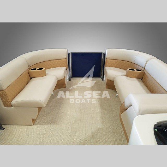 One 20ft Container 5.8m 19ft Marine Grade Aluminum Pontoon Fishing Boat with Engines/motors