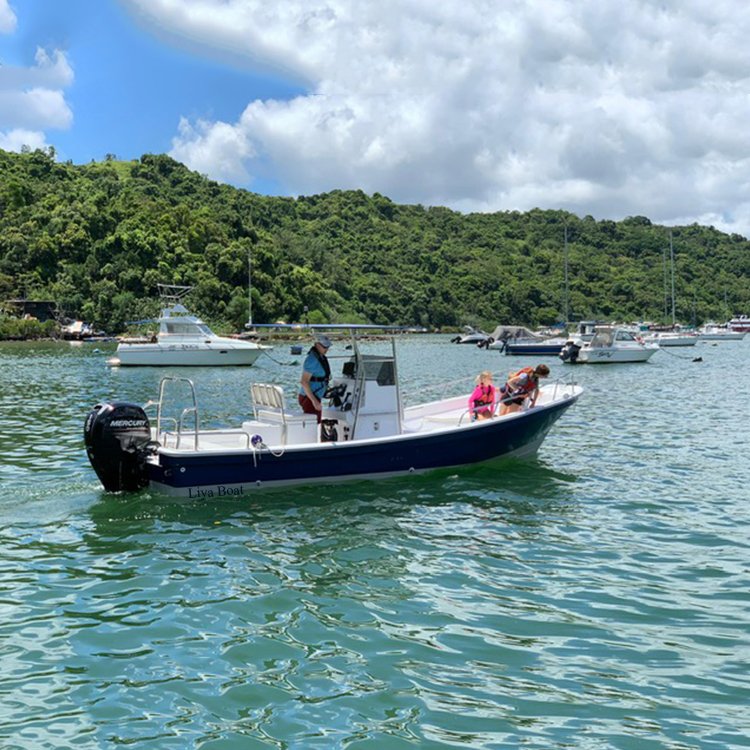 Liya 19Feet Panga Boats Fishing Boats Fishing Fiberglass Boat With Engine