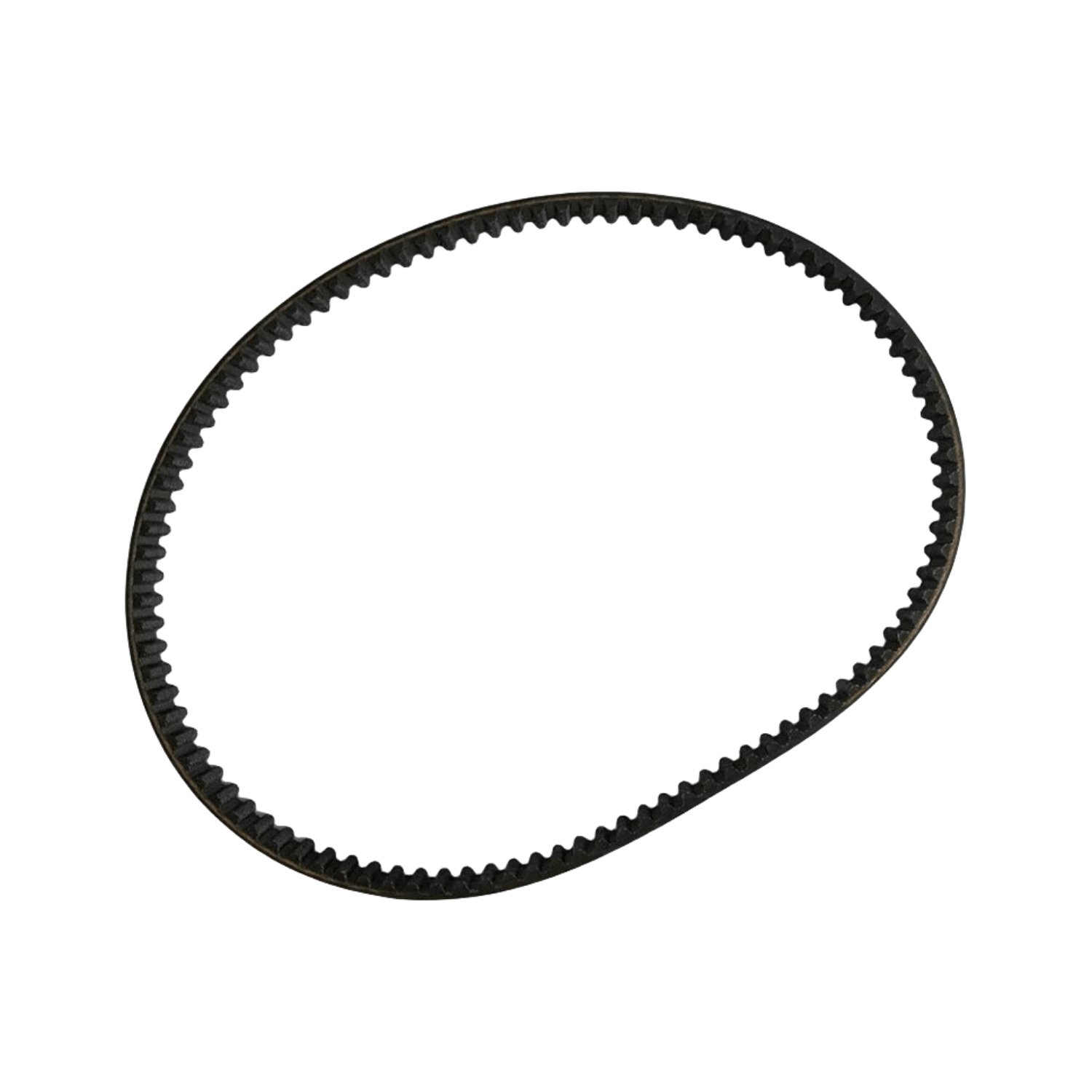 Timing Belt 6FM462410000 for Yamaha Marine Outboard Engine by Sea Sierra Manufacturer