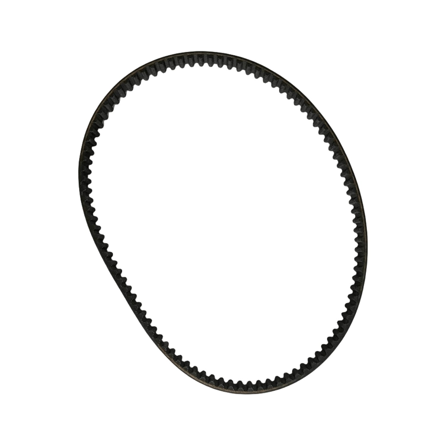 Timing Belt 6FM462410000 for Yamaha Marine Outboard Engine by Sea Sierra Manufacturer