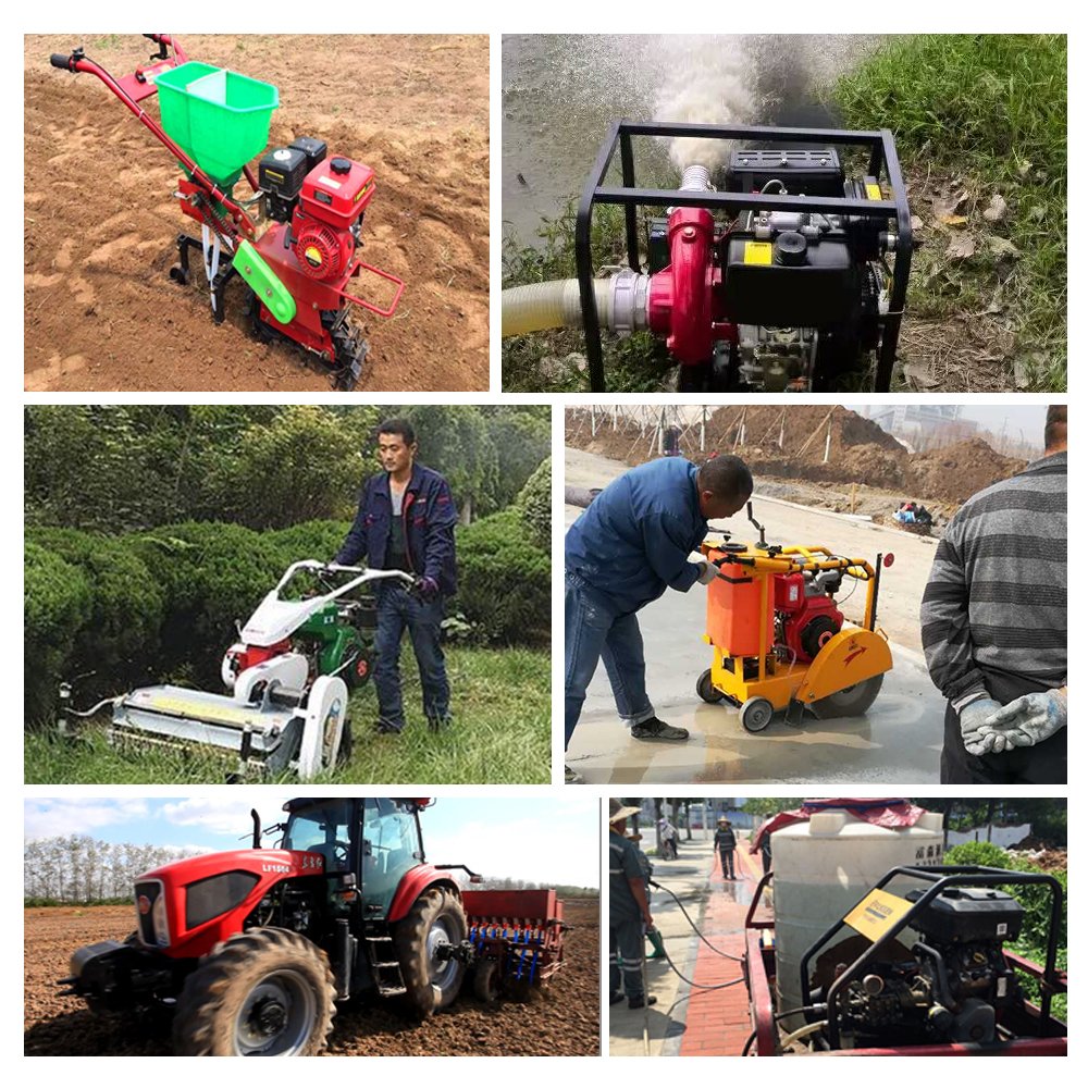 Single Cylinder Air-cooled 200cc Diesel Engine SE170F Customized 4HP 6HP 10HP 12HP 14HP 15HP 16HP 20HP Machinery Engines 2.5L