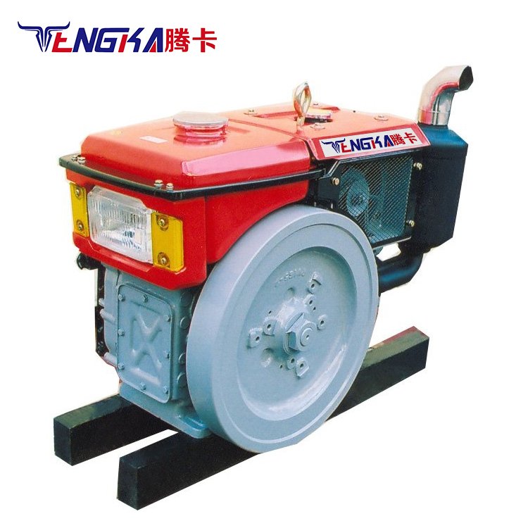 Tengka 4 Stroke Vertical Shaft Diesel Engine Zs1115 Changchai 10hp 20hp 28hp 30hp 40hp 50hp Water Cooled Diesel Engine
