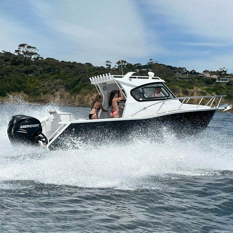 New Style Hot Selling Fishing Boats for the Ocean Fishing Yacht Boat 8 Passengers Mini Fishing Boats