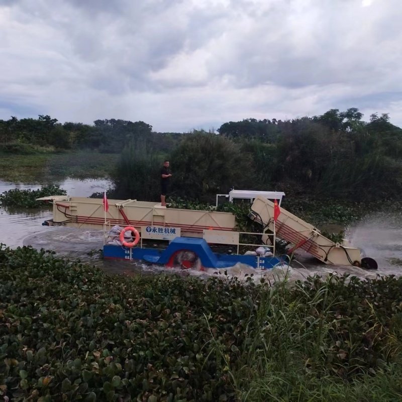 Capacity 2500Cbm 40kw Power Clean Reed Kelp Duckweed Pontoon Boat For Lake With Stainless Chain