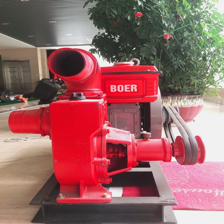 8-12HP Tractor Use Boat Use Small Mini diesel Oil Engine for Sale Mini diesel Engine Tiller