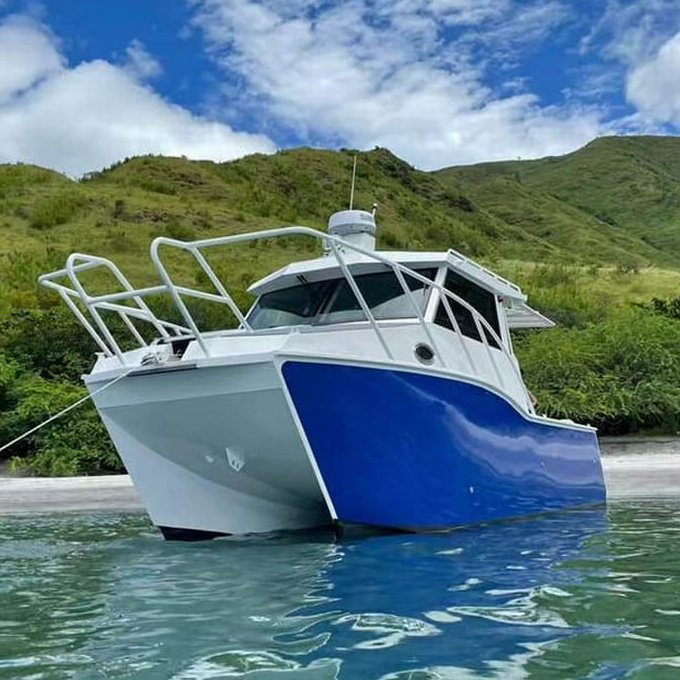 China Made 29ft Stable Outboard Offshore Aluminum Commercial Catamaran Boat Fishing Yacht for Sale
