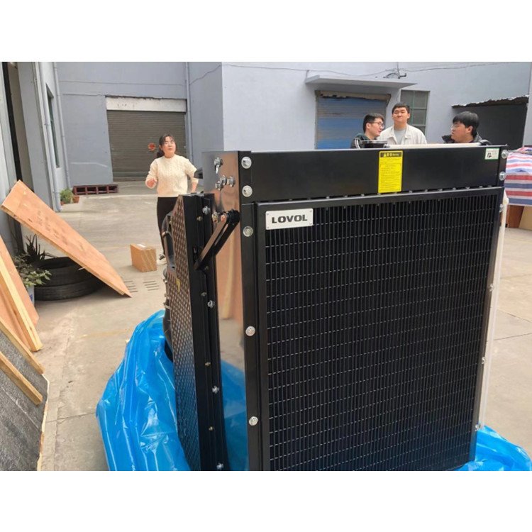 Lovol 1004TG/1006TG Industrial Engine 60Hz 80kVA Generator Set 4-Stroke 9L Marine Machinery Boat Construction Farm