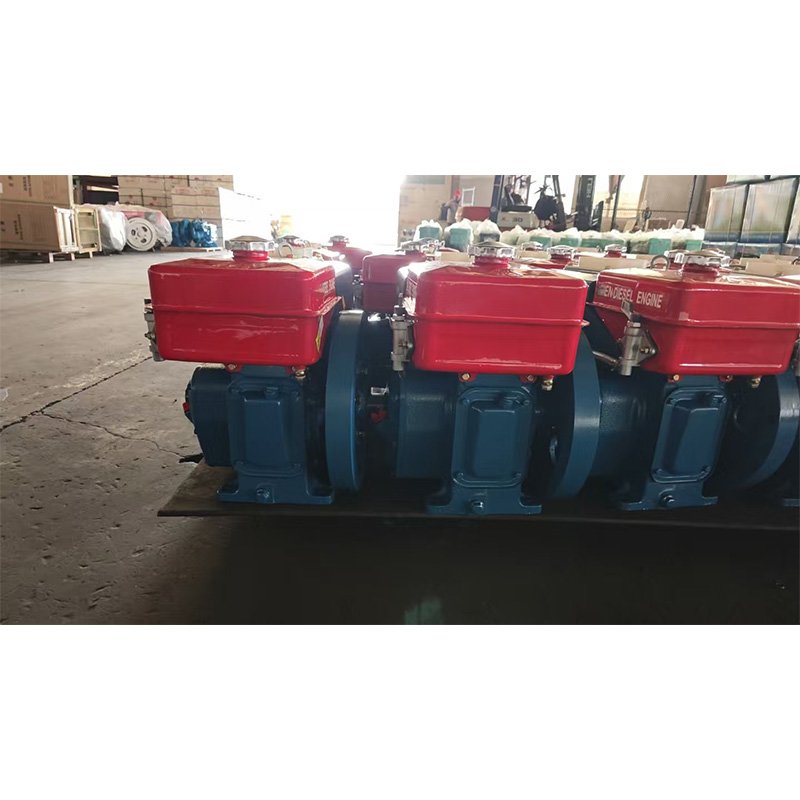 Moteur diesel Horizontal Monocylindre Quatre Temps Refroidi L'eau R170A 4 HP