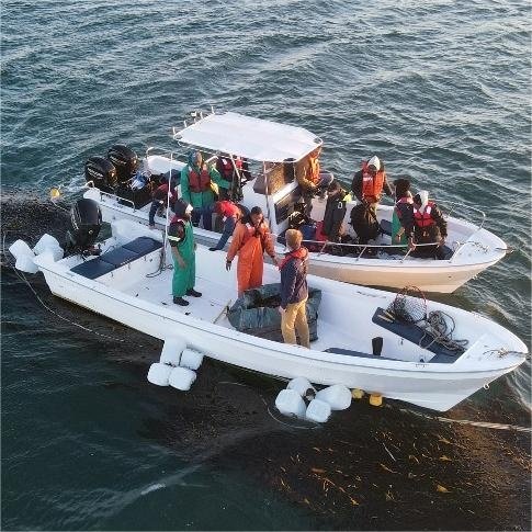 Liya 4m-8m Skiff Boats Fishing Fiberglass Panga Boats With Engine for Sale Australia