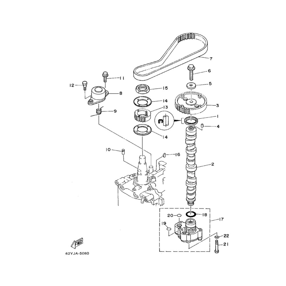 Timing Belt 62Y4624100 for Yamaha Outboard 40 50 60 HP Outboard Engine by Sea Sierra Factory