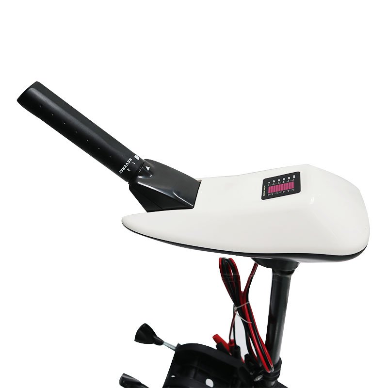 Hot Selling Good Quality Outboard Motor Boat Engine Electric Boat Motor