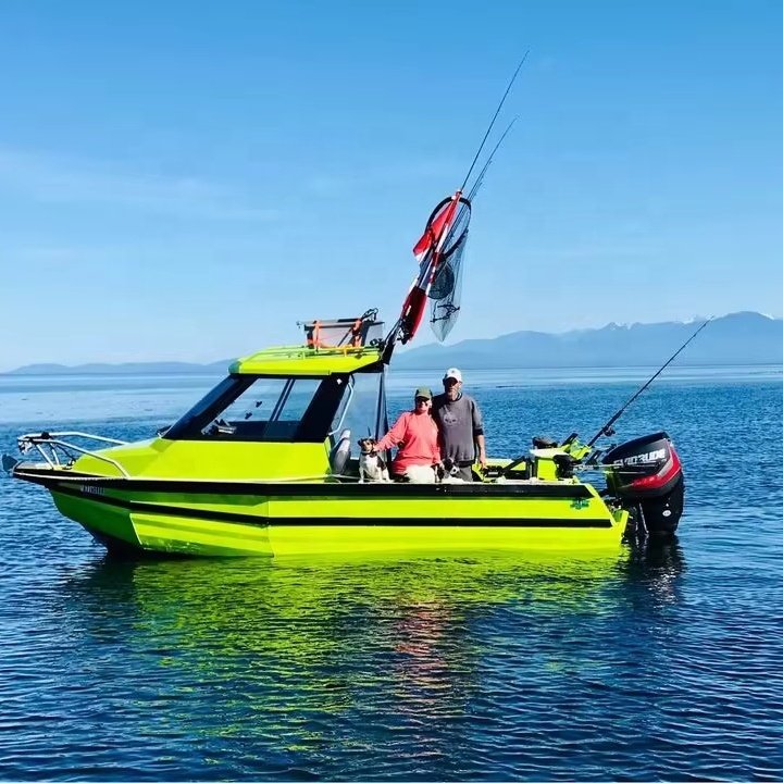 20ft Small Size Cabin Fishing Boat With Outboard Engine and Hardtop