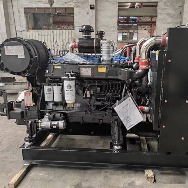 Genuine Water Cooled WEICHAI WP10B325E200 diesel Engine Assy for Pump Water Intake