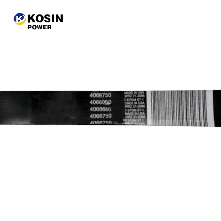Ready Stock Qsk60 4066750 3171732 Ribbed v Belt
