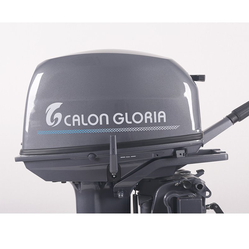Best Sell Turkey Mrket Use Cdi Buy a Boat Engine with Gasoline for Infltble Bot