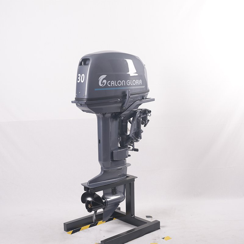 Best Sell Turkey Mrket Use Cdi Buy a Boat Engine with Gasoline for Infltble Bot