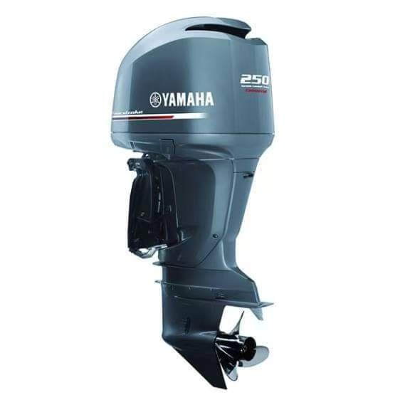 In Stock Outboard Engine 2 Srtroke Yamaha 15FMHS/15FMHL 15 HP for Boat