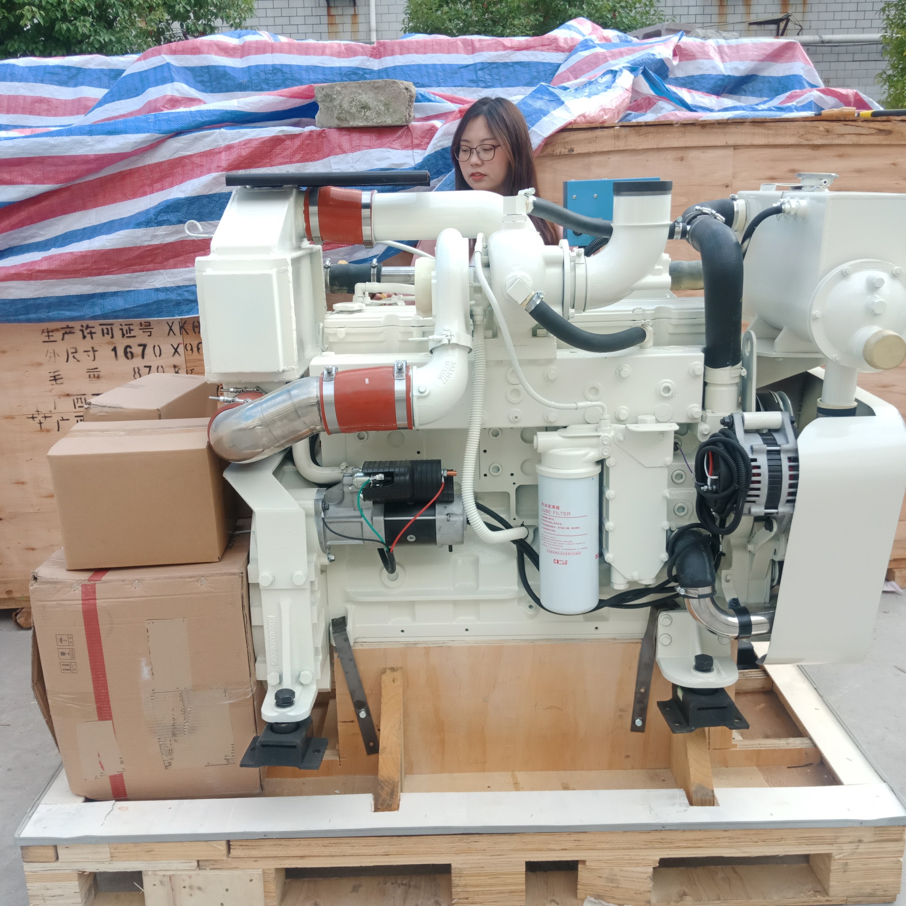Cummin Boat Motor 315hp DCEC Marine Engine 6LTAA8.9-M
