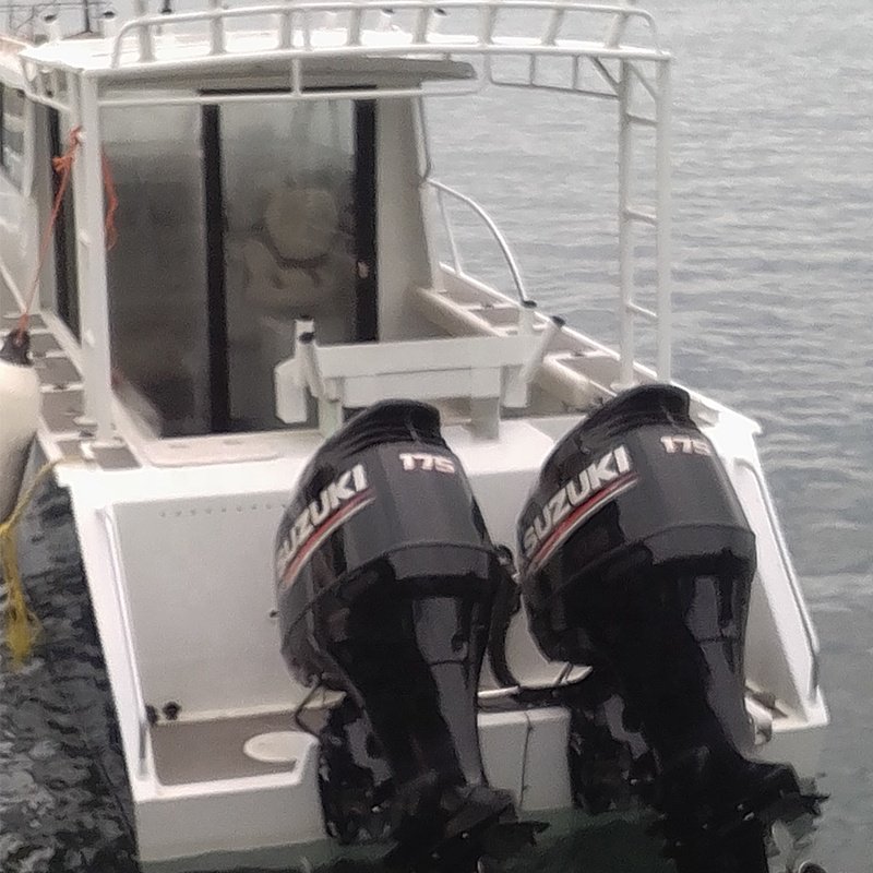 Luxury 9m Power Motor Fishing Lifestyle Yacht Boat with Outboard Engine