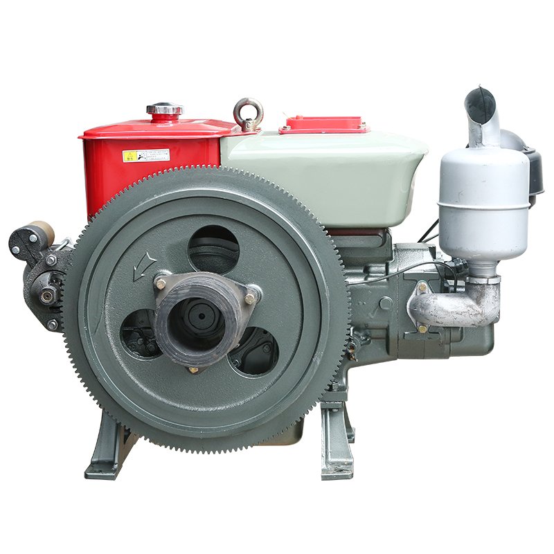 ZS195 Electric Single-cylinder Water-cooled Agricultural diesel Engine Tractor Propeller Engine