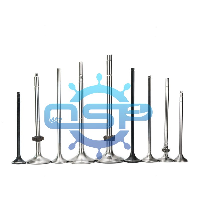 119173-11101 4LHA 6LYA 4LH Engine Valve Boat Engine 4LHA-STP 6LYA-STP Marine Engine Valve