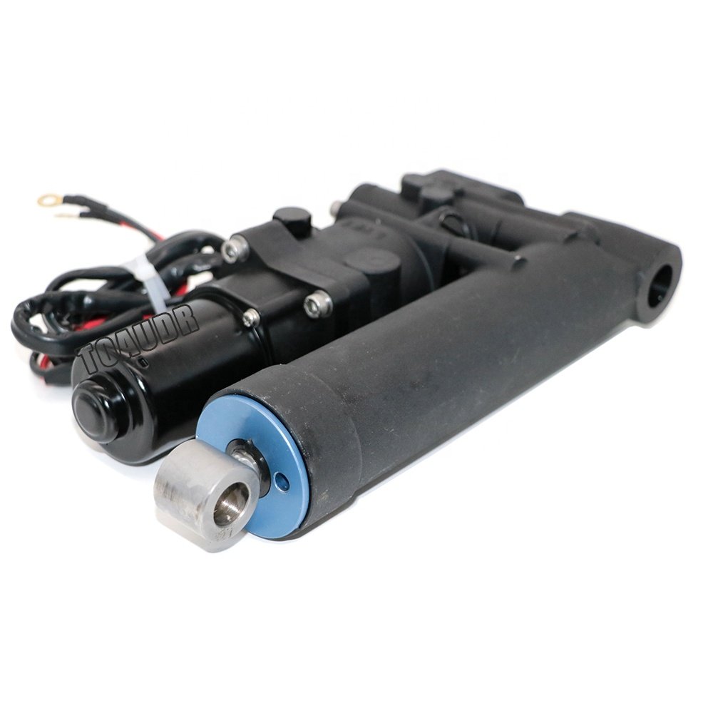 65W-43800 for Yamaha 2 Stroke 25HP 30HP 40HP F25 F30HP 40HP Outboard Single Ram Power Tilt Trim Unit 65W-43800-02-4D