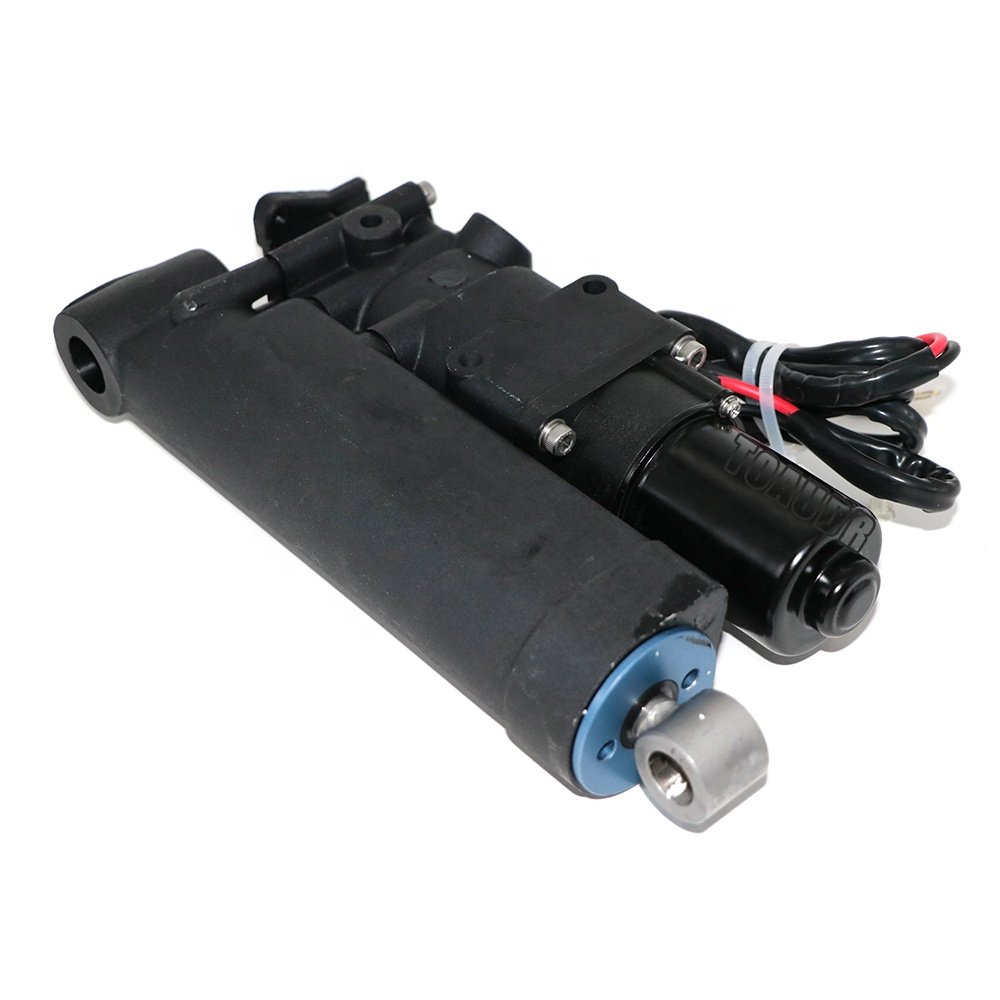 65W-43800 for Yamaha 2 Stroke 25HP 30HP 40HP F25 F30HP 40HP Outboard Single Ram Power Tilt Trim Unit 65W-43800-02-4D