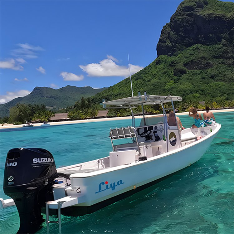 Liya 4.2m-7.6m Skiff Boats Fishing Fiberglass Panga Boats With Engine