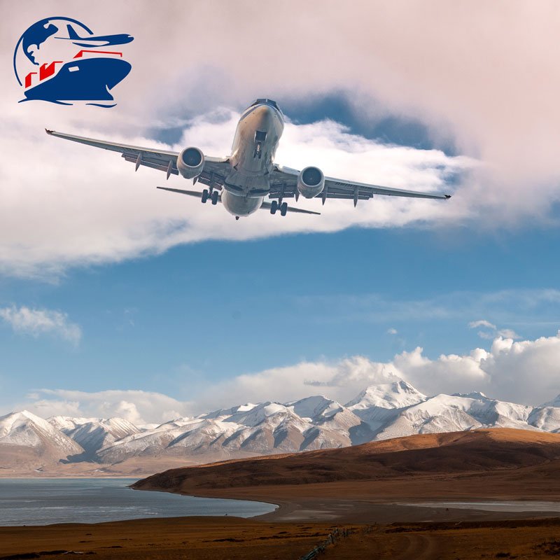FedEx TNT Shipping Agent from China to USA Canada Air Freight Forwarder