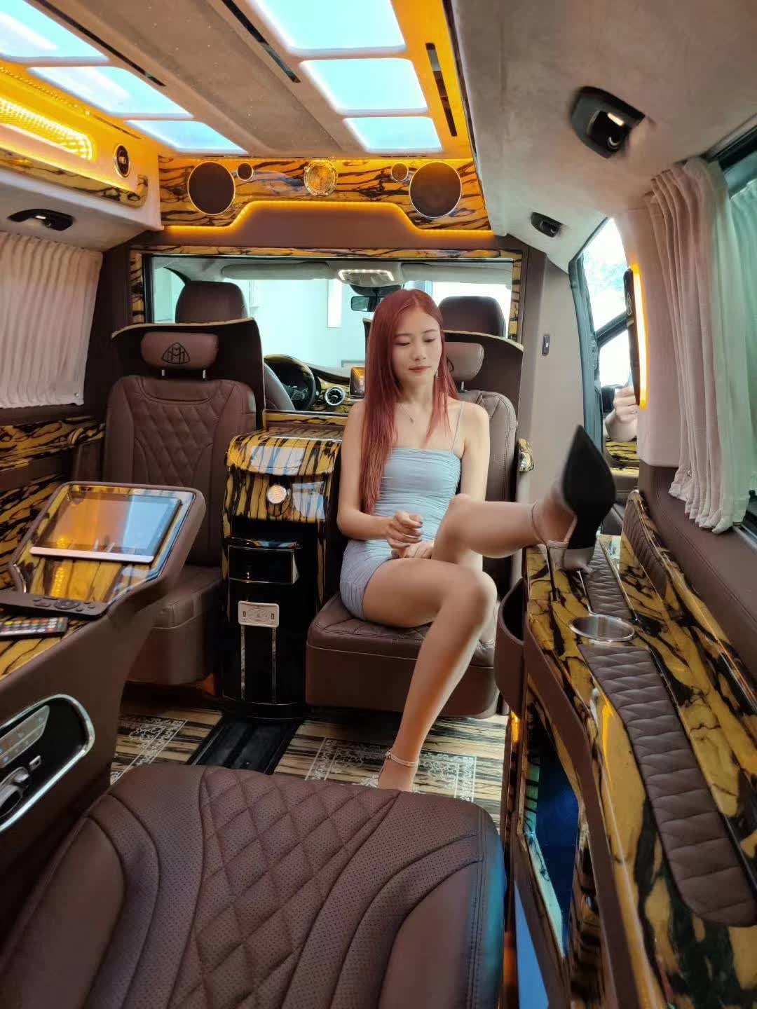 2024 Hot Sale high quality Car Accessories Luxury Seat Aircraft Passenger Seat For Alphard Sienna Universal Mpv