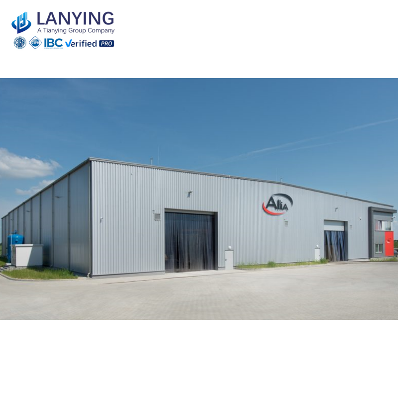 Ready Made Prefab Metal Airplane Hangar Hall Steel Structure Steel Warehouse Aircraft Hangars