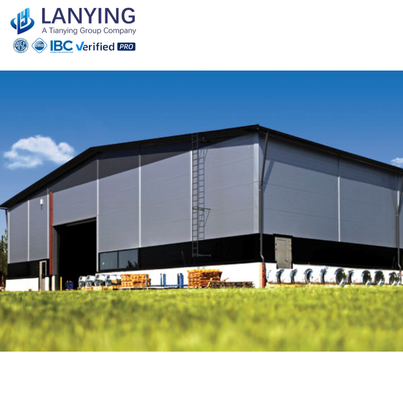 Ready Made Prefab Metal Airplane Hangar Hall Steel Structure Steel Warehouse Aircraft Hangars