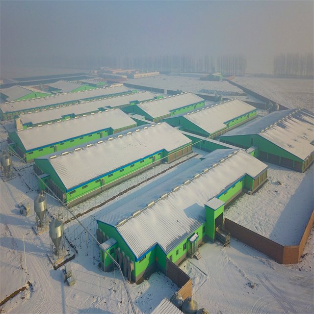 Used Steel Structure Building Steel Structure Commercial Building Steel Structure Hangar Building