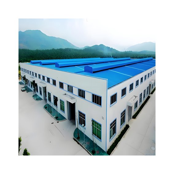Prefabricated Steel Structure Hangar Prefabricated Steel Structure Building Prefabricated Steel Structure Design