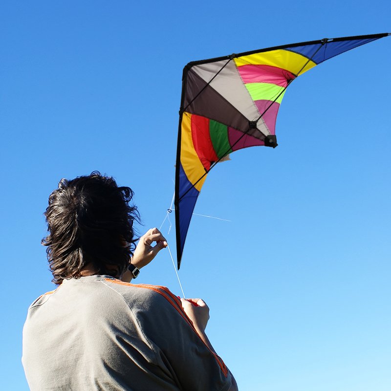 New style custom Portable Polyester easy Flying bird shape scarer eagle kite