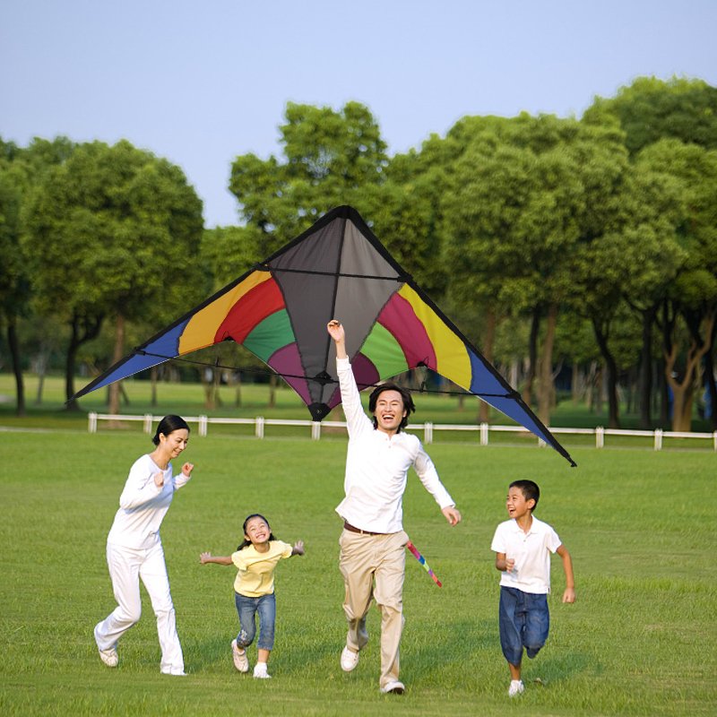 New style custom Portable Polyester easy Flying bird shape scarer eagle kite