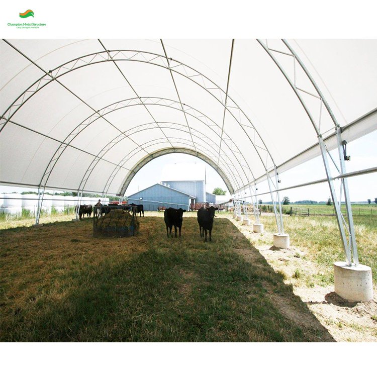 CE Certified 408021 Large Warehouse Tent | Durable Aircraft Hangar And Cold Storage Shelter For Industrial Applications