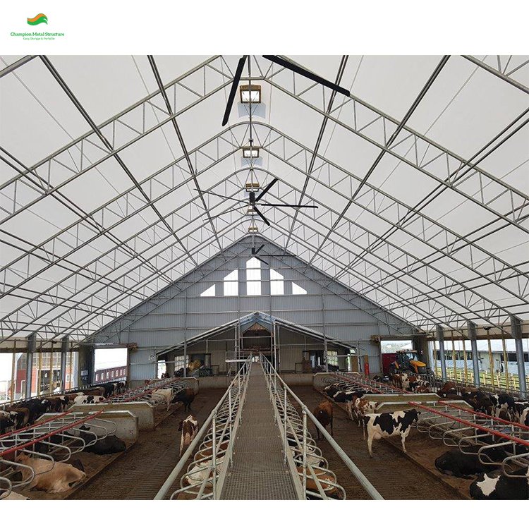 CE Certified 408021 Large Warehouse Tent | Durable Aircraft Hangar And Cold Storage Shelter For Industrial Applications