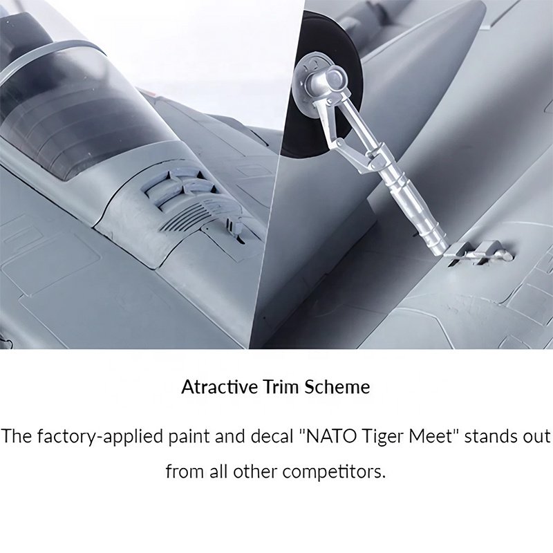 Reflex V2 Equipped FMS 64mm Rafale EDF Jet PNP Precision Flying Model RC Jet Fighter Dassault Design Tiger Meet