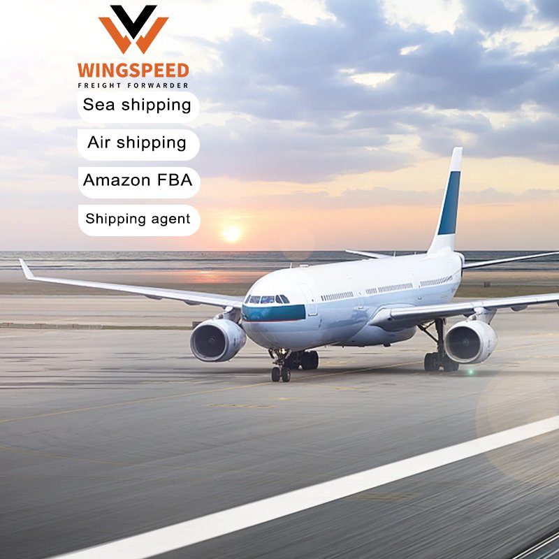 Shenzhen TOP 1 Freight Forwarder---Wingspeed---Sea/air Cargo Shipping Cost From China To Singapore/Thailand/Malaysia