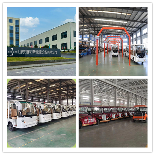 TongCai luxury premium support private custom enclosed tempered glass sightseeing vehicle onibus de turismo