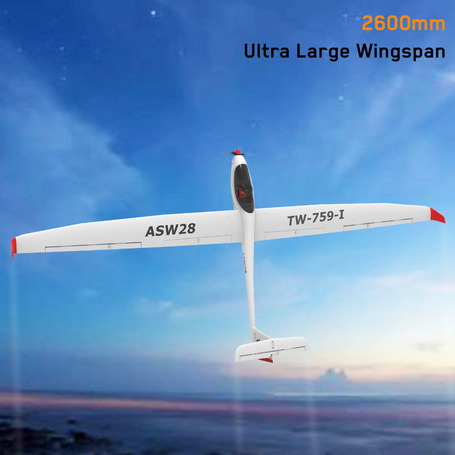 RC Aircraft ASW28 2.6M RTF Brushless Motor