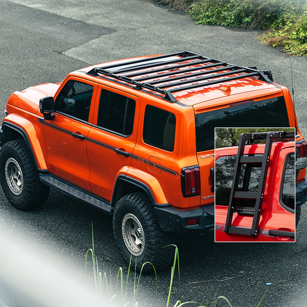 Tank 300 Tuning Accessories Specific Aviation Aluminum Alloy Roof Rack Luggage Carrier Side Ladder Kit High Strength Lightweight