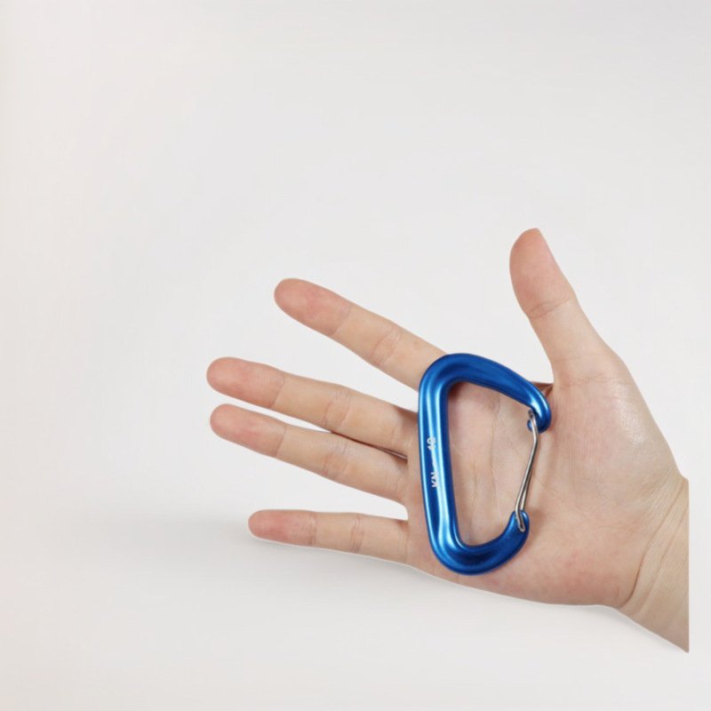 2025 Professional Climbing Carabiner D Shape Mountaineering Buckle Hook 12KN Safety Lock Outdoor Climbing Equipment Accessory