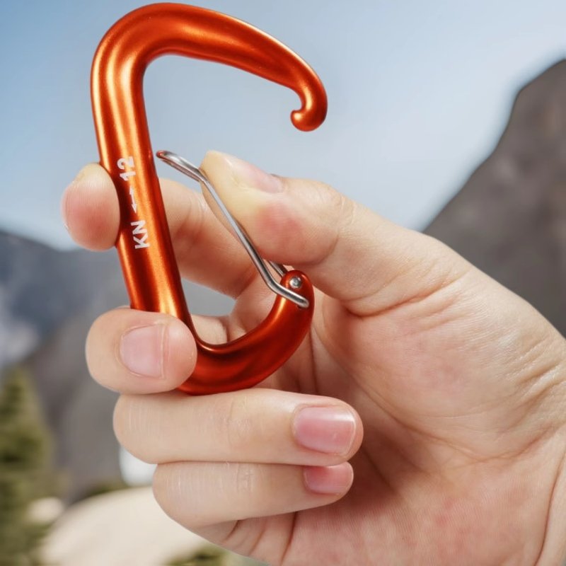 2025 Professional Climbing Carabiner D Shape Mountaineering Buckle Hook 12KN Safety Lock Outdoor Climbing Equipment Accessory