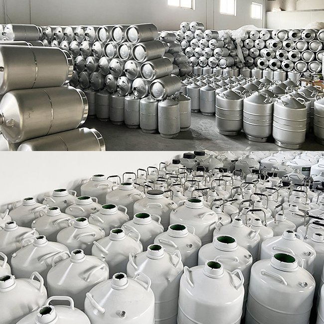 Custom Cryo Dewar OEM YDS-10L Artificial Insemination Semen Storage Aluminum Cryogenic Nitrogen Tank