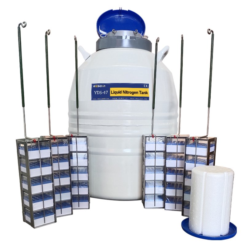 95L Cryogenic Caliber 216mm Liquid Nitrogen Storage Tank Price with Accessories for Liquid Nitrogen Quick Freezer